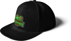 Černá kšiltovka dospělácká